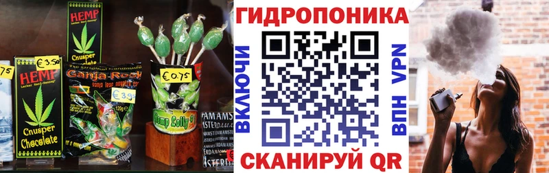 Cannafood марихуана  гидра как войти  Грозный 
