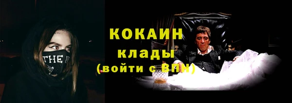 прущие грибы Абдулино