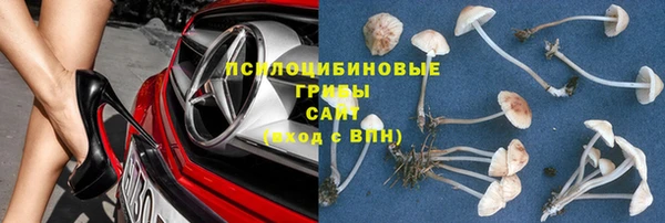 дурь Абинск