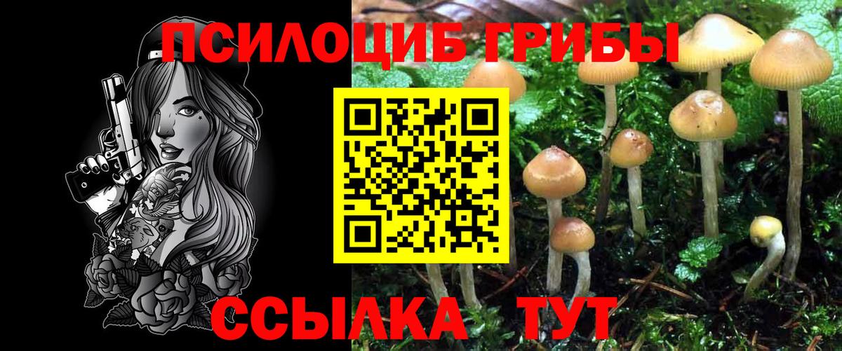 Грозный  Псилоцибиновые грибы Magic Shrooms  закладки  Вход с VPN 