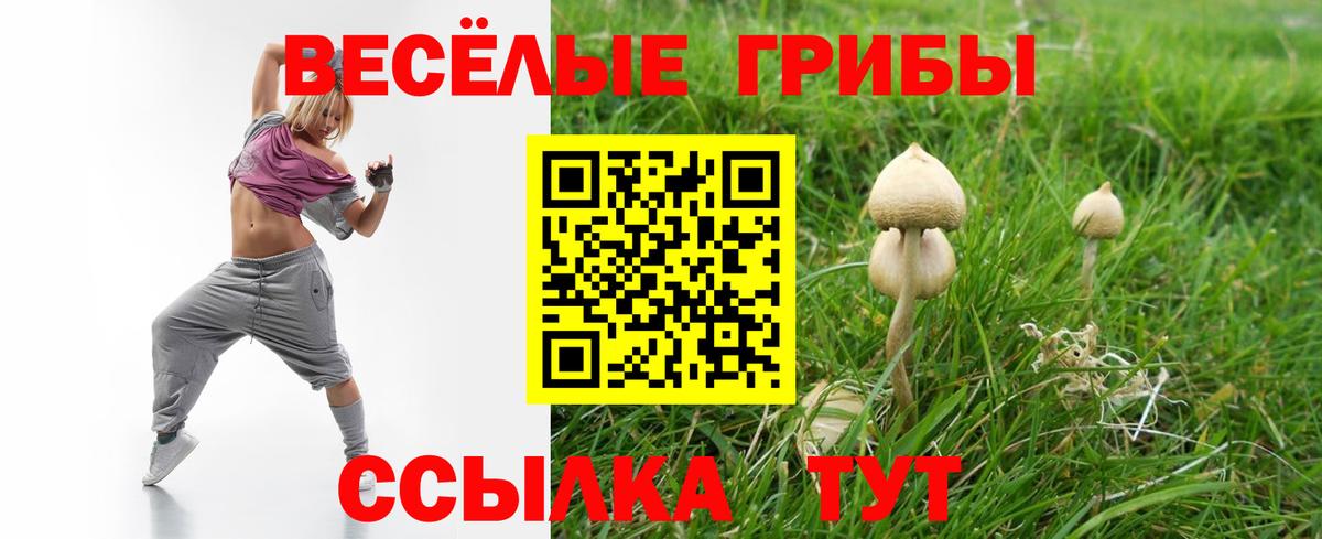 Псилоцибиновые грибы Psilocybine cubensis Грозный