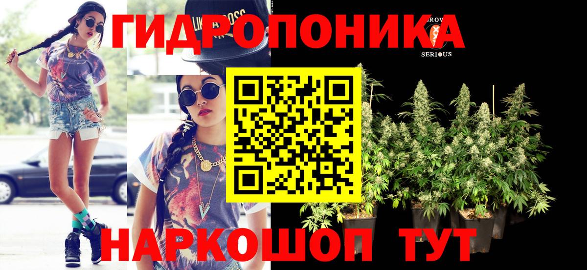 Грозный  Марихуана семена  Марихуана марихуана  Вход с VPN  Бошки Шишки семена 